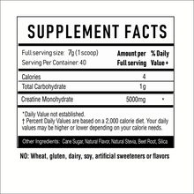 Load image into Gallery viewer, 4-GAUGE CREATINE- FRUIT BLAST - 40 Servings