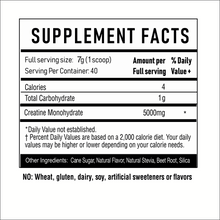Load image into Gallery viewer, 4-GAUGE CREATINE- FRUIT BLAST - 40 Servings