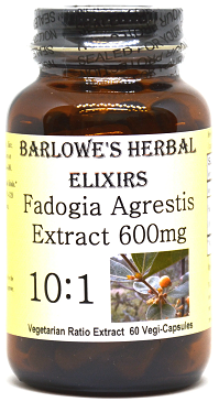 Fadogia Agrestis 10:1 extract - 60 veg caps